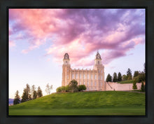 Load image into Gallery viewer, Manti Cotton Candy
