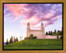 Load image into Gallery viewer, Manti Cotton Candy
