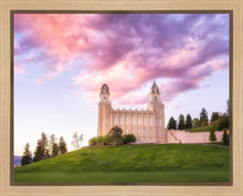 Load image into Gallery viewer, Manti Cotton Candy
