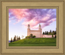 Load image into Gallery viewer, Manti Cotton Candy

