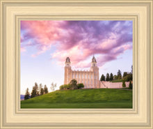Load image into Gallery viewer, Manti Cotton Candy
