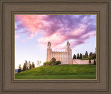 Load image into Gallery viewer, Manti Cotton Candy

