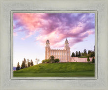 Load image into Gallery viewer, Manti Cotton Candy
