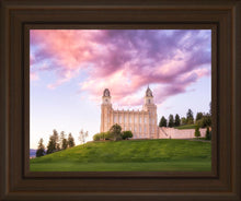 Load image into Gallery viewer, Manti Cotton Candy
