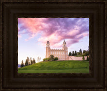Load image into Gallery viewer, Manti Cotton Candy
