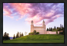 Load image into Gallery viewer, Manti Cotton Candy

