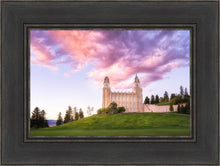 Load image into Gallery viewer, Manti Cotton Candy
