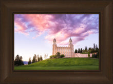Load image into Gallery viewer, Manti Cotton Candy
