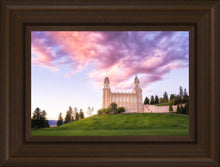 Load image into Gallery viewer, Manti Cotton Candy

