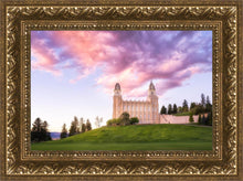 Load image into Gallery viewer, Manti Cotton Candy

