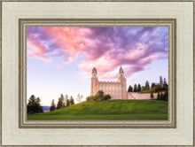 Load image into Gallery viewer, Manti Cotton Candy
