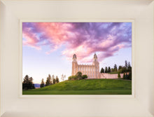 Load image into Gallery viewer, Manti Cotton Candy
