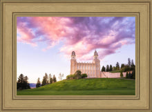 Load image into Gallery viewer, Manti Cotton Candy

