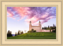 Load image into Gallery viewer, Manti Cotton Candy

