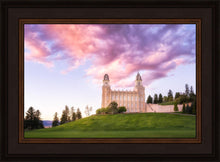Load image into Gallery viewer, Manti Cotton Candy
