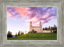 Load image into Gallery viewer, Manti Cotton Candy
