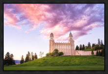 Load image into Gallery viewer, Manti Cotton Candy
