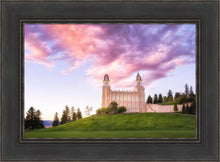 Load image into Gallery viewer, Manti Cotton Candy
