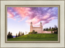 Load image into Gallery viewer, Manti Cotton Candy
