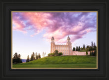 Load image into Gallery viewer, Manti Cotton Candy
