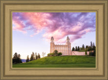 Load image into Gallery viewer, Manti Cotton Candy
