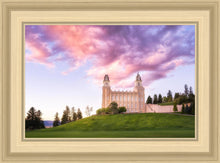 Load image into Gallery viewer, Manti Cotton Candy
