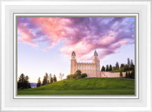 Load image into Gallery viewer, Manti Cotton Candy
