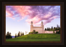 Load image into Gallery viewer, Manti Cotton Candy
