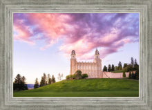 Load image into Gallery viewer, Manti Cotton Candy
