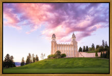Load image into Gallery viewer, Manti Cotton Candy
