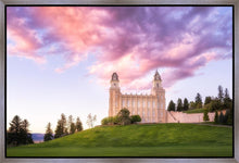 Load image into Gallery viewer, Manti Cotton Candy
