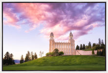 Load image into Gallery viewer, Manti Cotton Candy
