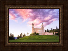 Load image into Gallery viewer, Manti Cotton Candy
