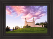 Load image into Gallery viewer, Manti Cotton Candy
