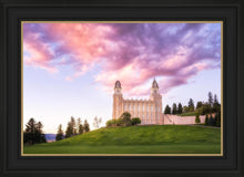 Load image into Gallery viewer, Manti Cotton Candy
