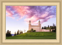 Load image into Gallery viewer, Manti Cotton Candy
