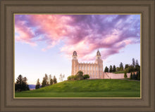 Load image into Gallery viewer, Manti Cotton Candy
