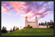 Load image into Gallery viewer, Manti Cotton Candy
