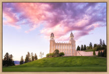 Load image into Gallery viewer, Manti Cotton Candy
