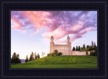 Load image into Gallery viewer, Manti Cotton Candy
