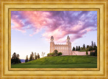 Load image into Gallery viewer, Manti Cotton Candy
