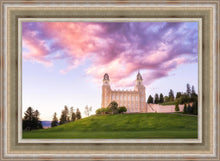 Load image into Gallery viewer, Manti Cotton Candy
