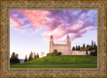 Load image into Gallery viewer, Manti Cotton Candy
