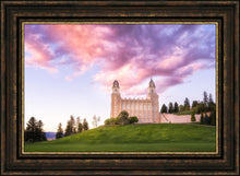 Load image into Gallery viewer, Manti Cotton Candy
