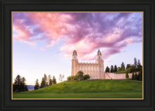 Load image into Gallery viewer, Manti Cotton Candy
