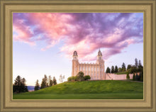 Load image into Gallery viewer, Manti Cotton Candy
