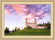 Load image into Gallery viewer, Manti Cotton Candy
