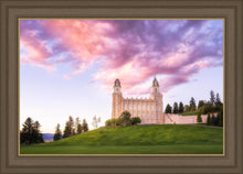 Load image into Gallery viewer, Manti Cotton Candy
