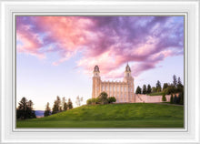 Load image into Gallery viewer, Manti Cotton Candy
