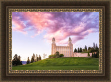 Load image into Gallery viewer, Manti Cotton Candy
